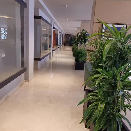 Estudio 1ª Linea Vista Mar Planta 10 3 Pyr アパート